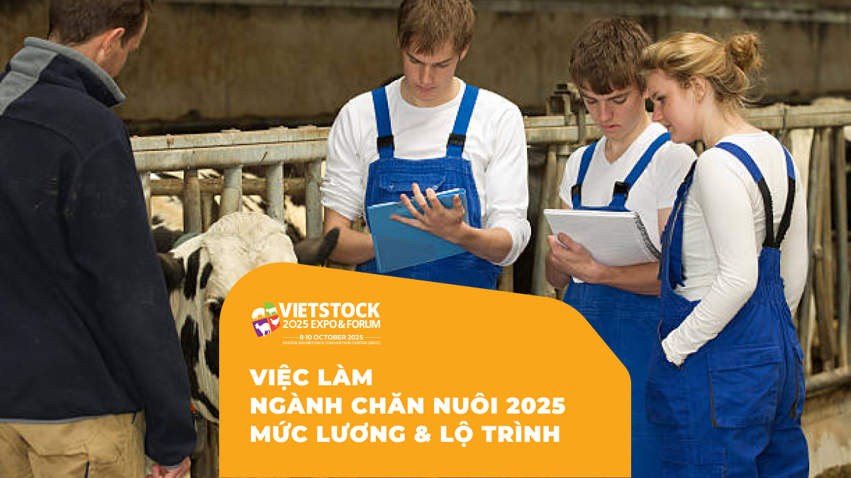 Việc Làm Ngành Chăn Nuôi Việt Nam 2025: Cơ Hội, Mức Lương Và Lộ Trình Phát Triển Sự Nghiệp
